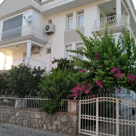Erguen 37-2